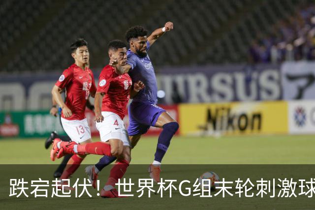 跌宕起伏！世界杯G组末轮刺激球迷心脏 伊朗狂喜过后遭打击