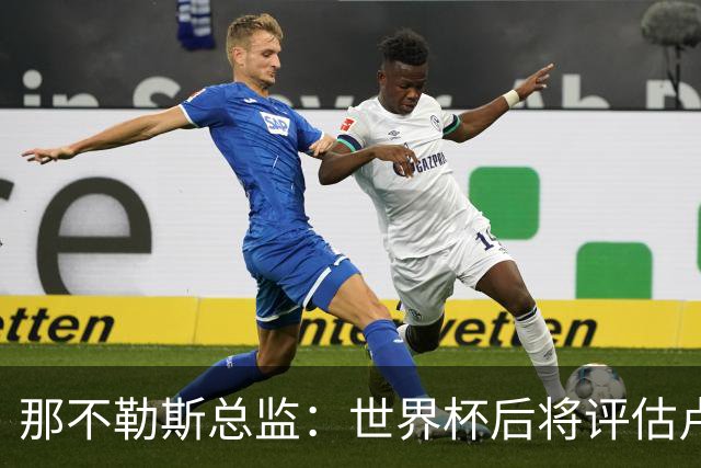 那不勒斯总监：世界杯后将评估卢卡库，关注哈莱利的并非只有我们